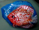 Roter Fisch